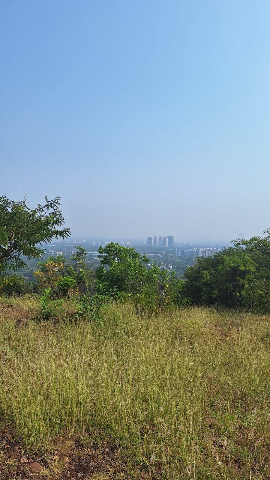 Run #192 City Views